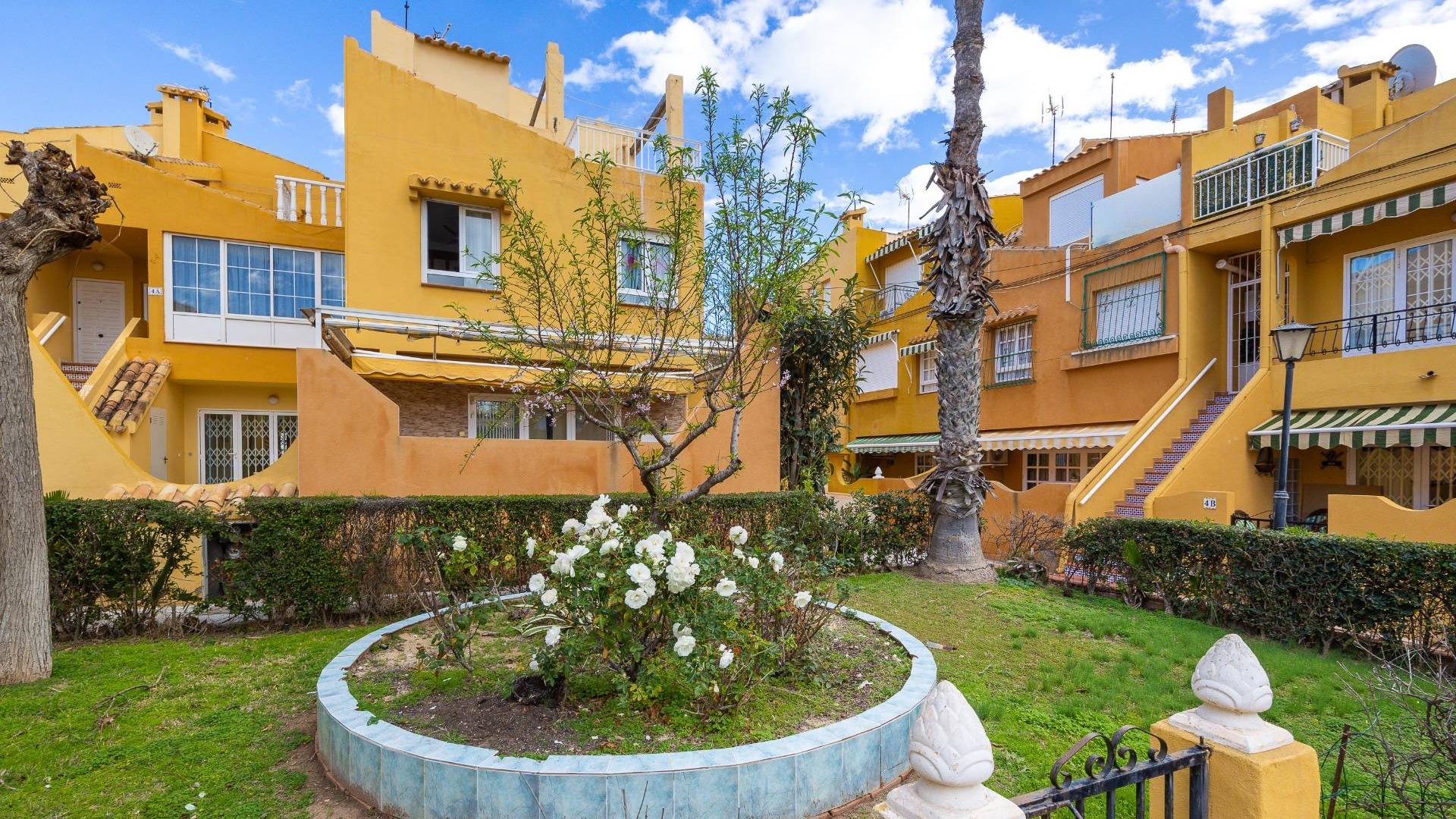 Gebraucht - Penthouse - Torrevieja - Eliseos playa