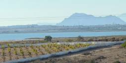 Gebraucht - Penthouse - Torrevieja - La Mata