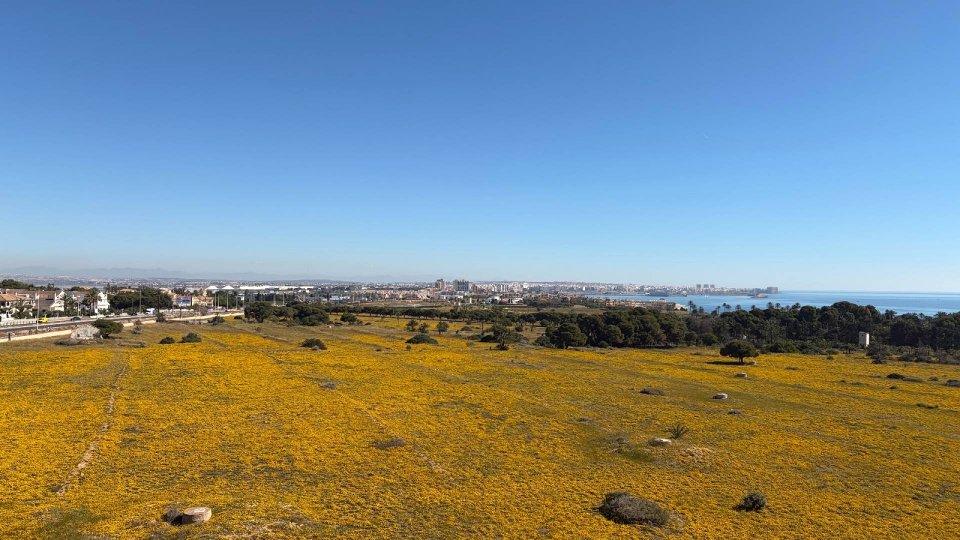 Gebraucht - Penthouse - Torrevieja - 