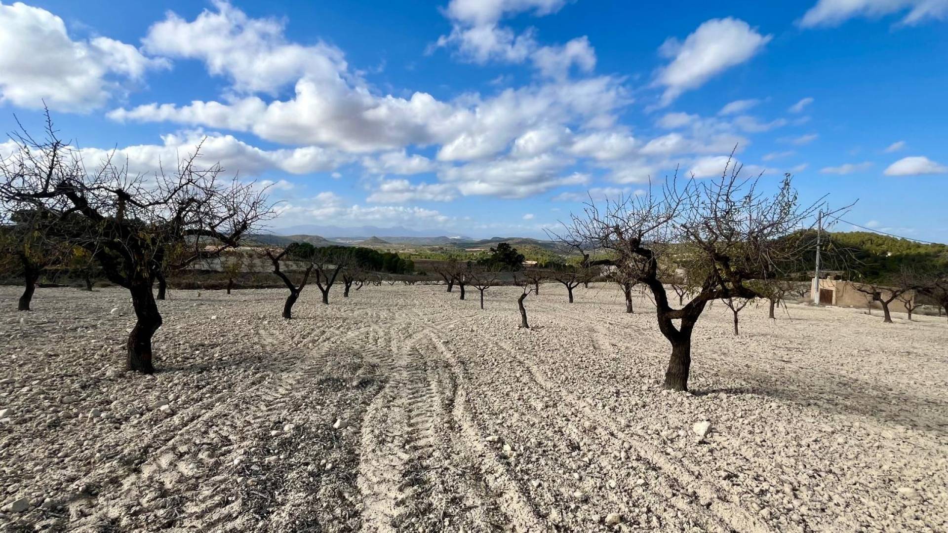 Gebraucht - Plot - Bullas - Costa Calida