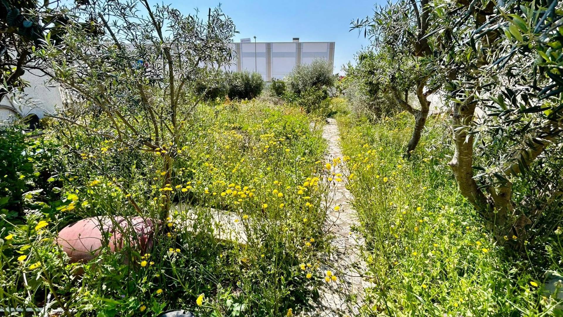 Gebraucht - Plot - Ciudad Quesada - Rojales - Rojales