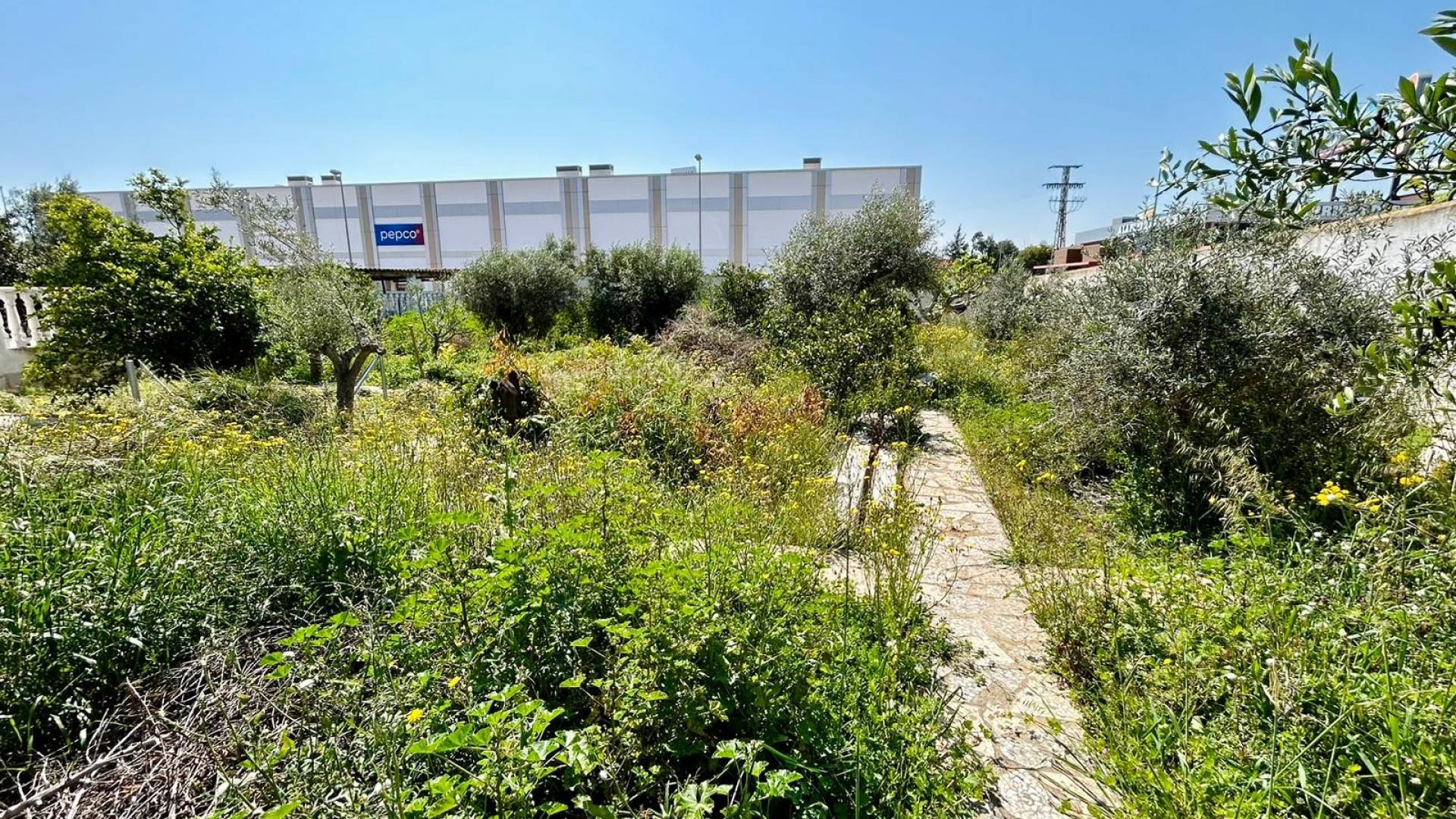 Gebraucht - Plot - Ciudad Quesada - Rojales - Rojales