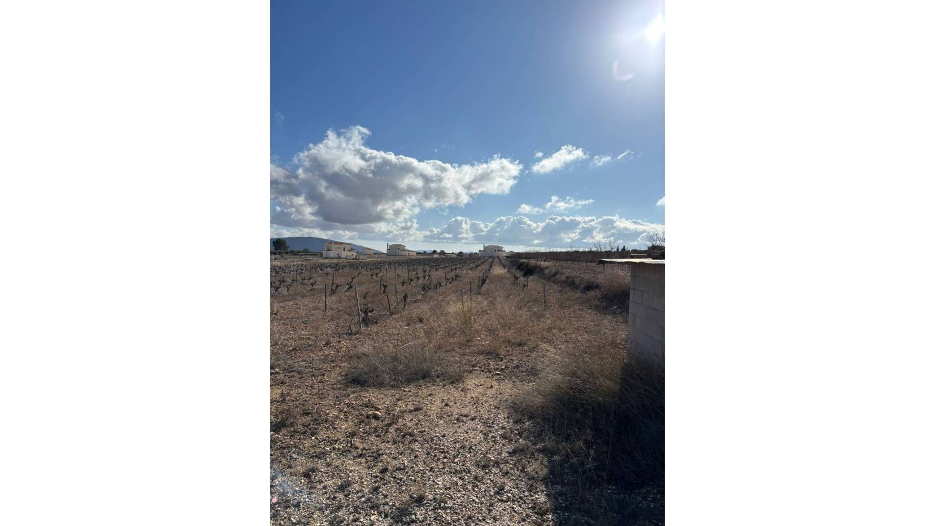Gebraucht - Plot - Pinoso - el Pinós / Pinoso
