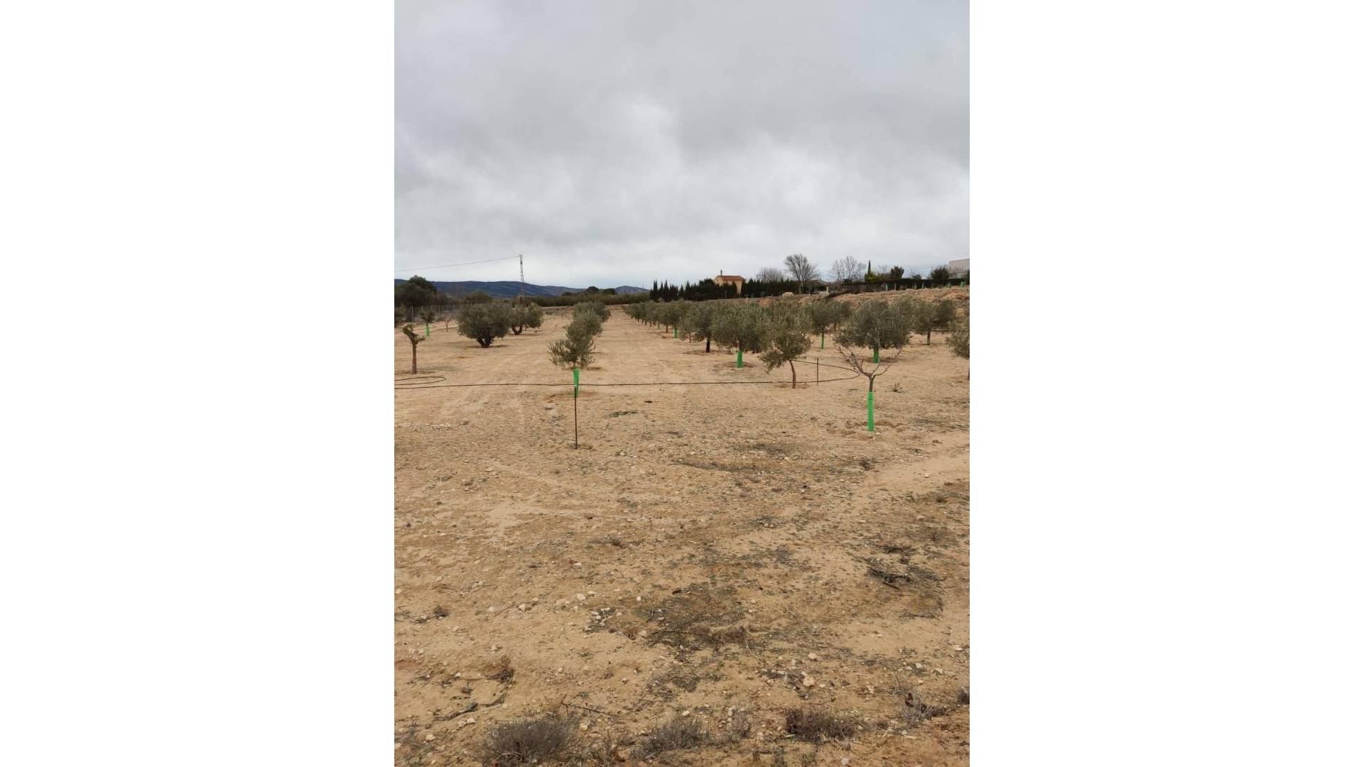 Gebraucht - Plot - Villena - Cabanes Y Las Fuentes