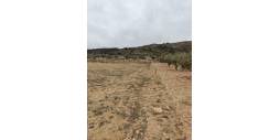 Gebraucht - Plot - Villena - Cabanes Y Las Fuentes
