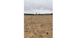 Gebraucht - Plot - Villena - Cabanes Y Las Fuentes