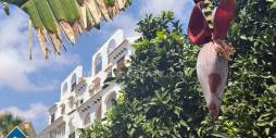 Gebraucht - Stadthaus - Torrevieja - Calas blanca