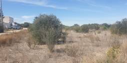 Gebraucht - Terreno - Benferri - HUERTA PUEBLO