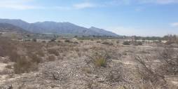 Gebraucht - Terreno - Benferri - HUERTA PUEBLO