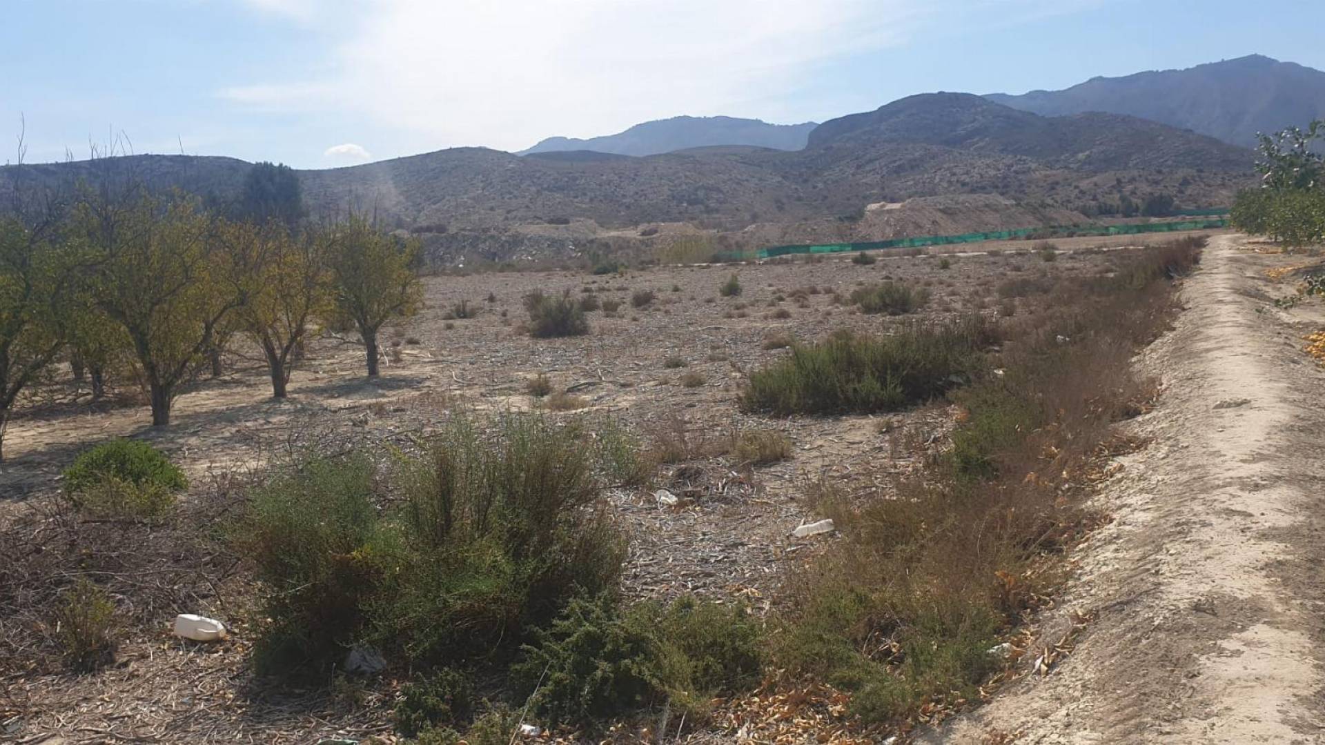 Gebraucht - Terreno - Benferri - HUERTA PUEBLO