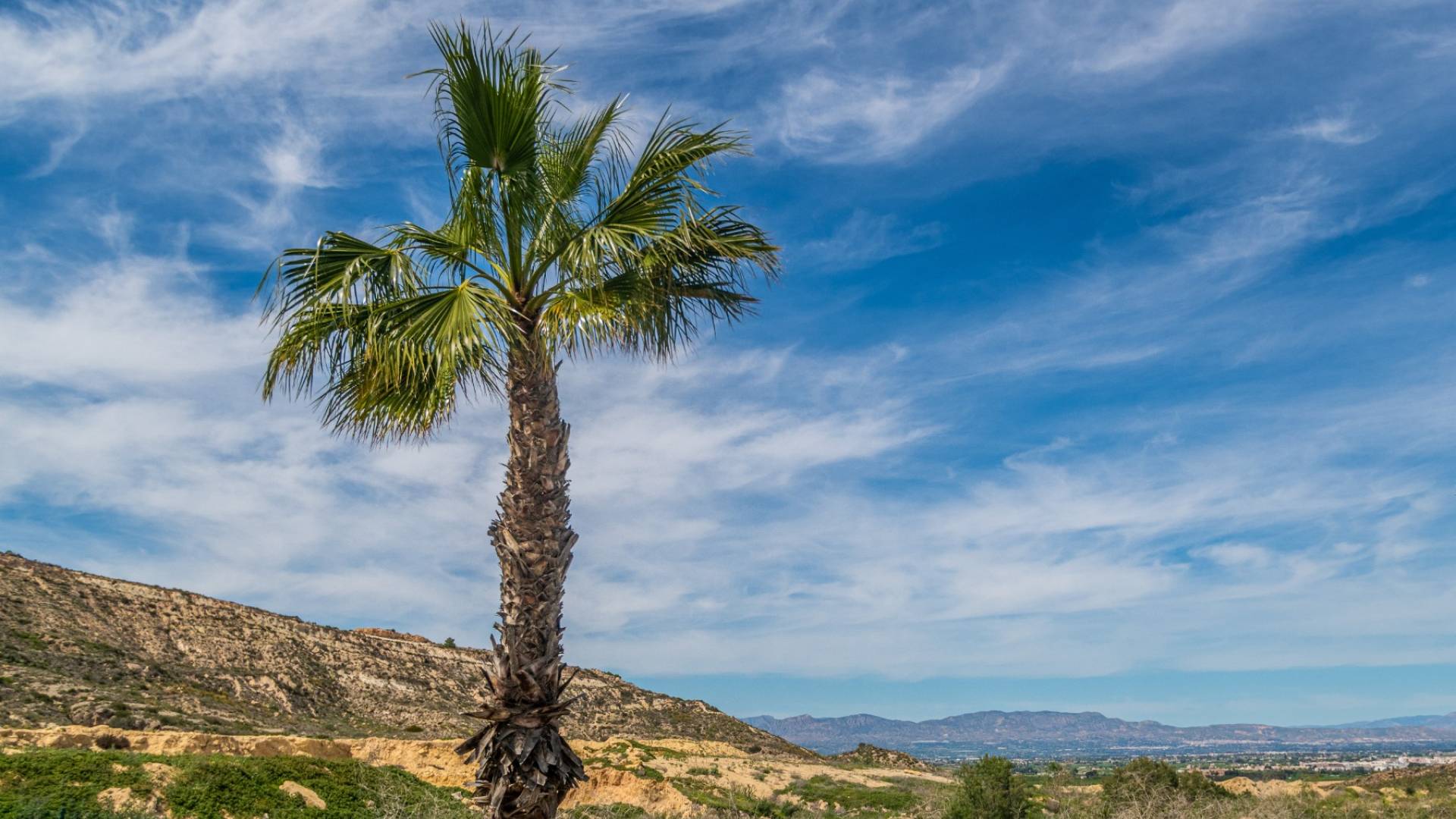 Gebraucht - Townhouse - Algorfa - La Finca Golf