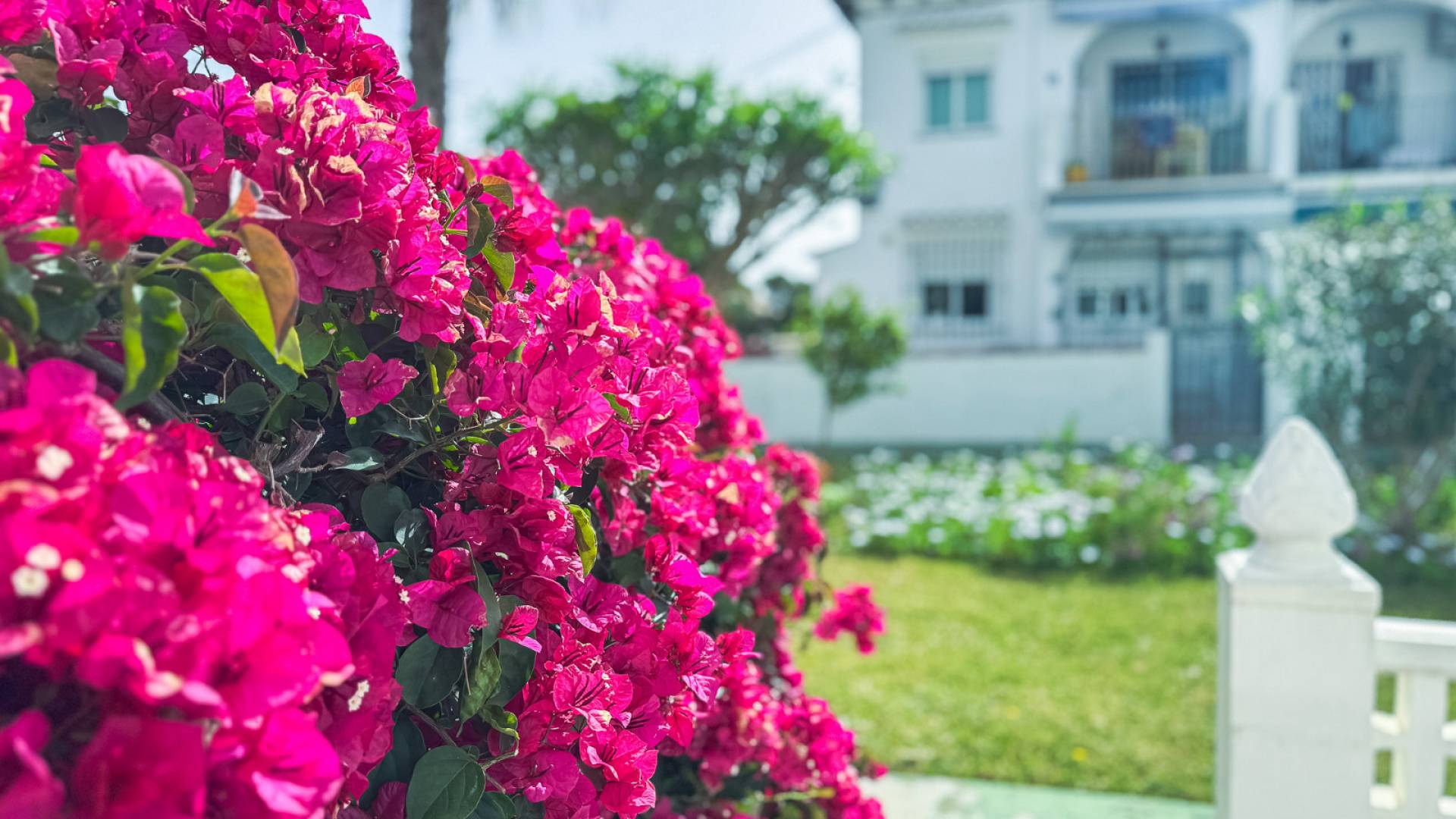 Gebraucht - Townhouse - Torrevieja - Lago jardin