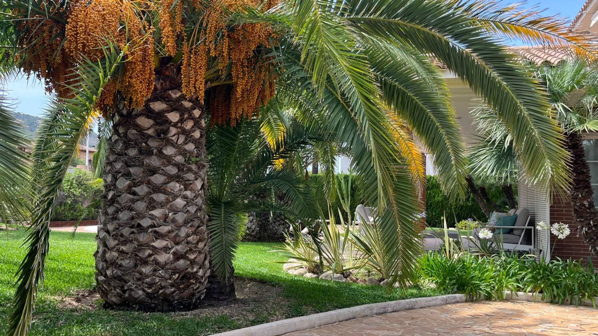 Gebraucht - Unabhängige Villa - Benidorm