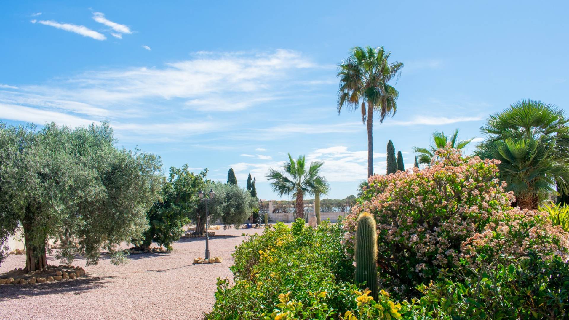 Gebraucht - Unabhängige Villa - Elche - LA MARINA