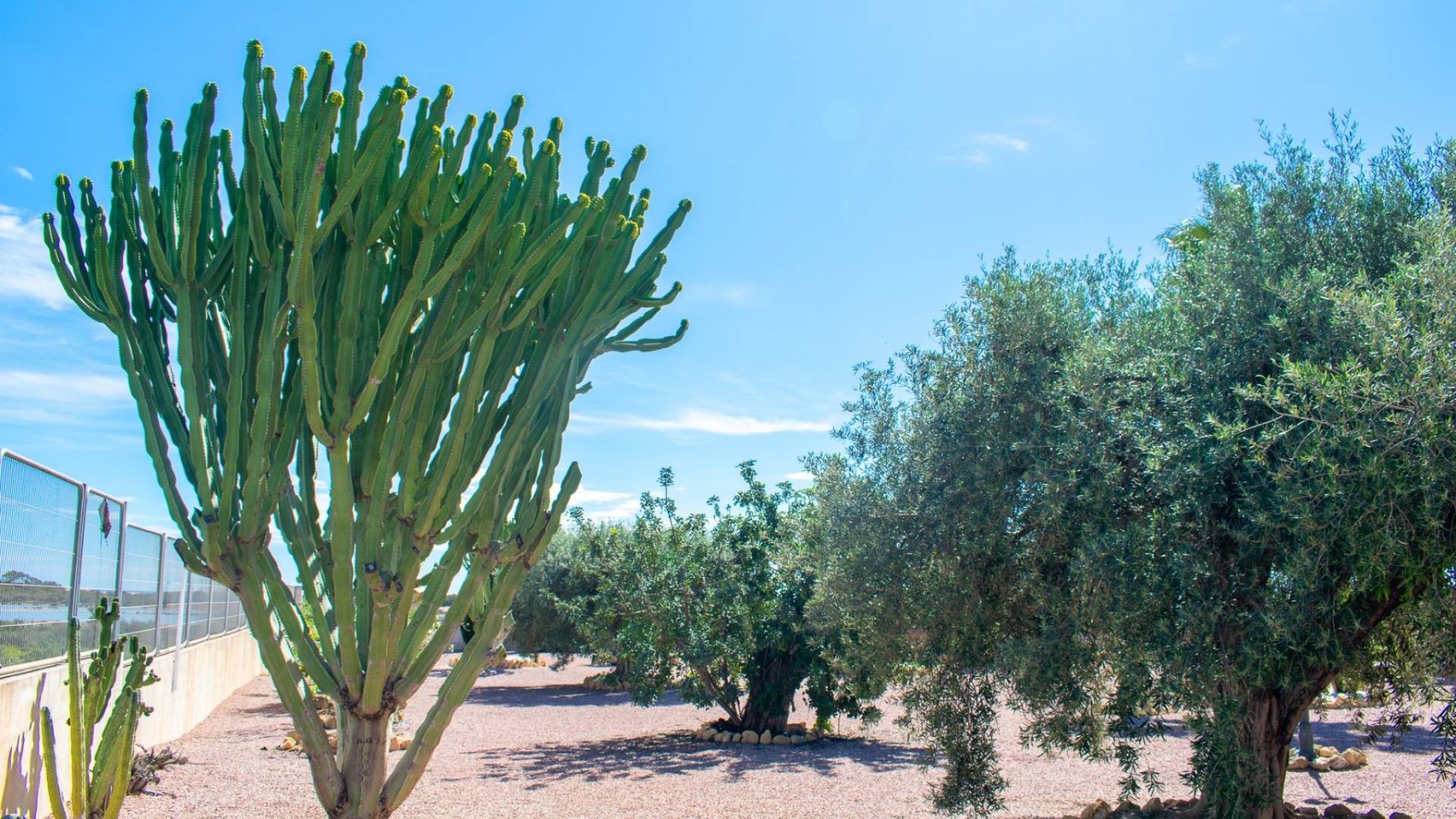 Gebraucht - Unabhängige Villa - Elche - LA MARINA