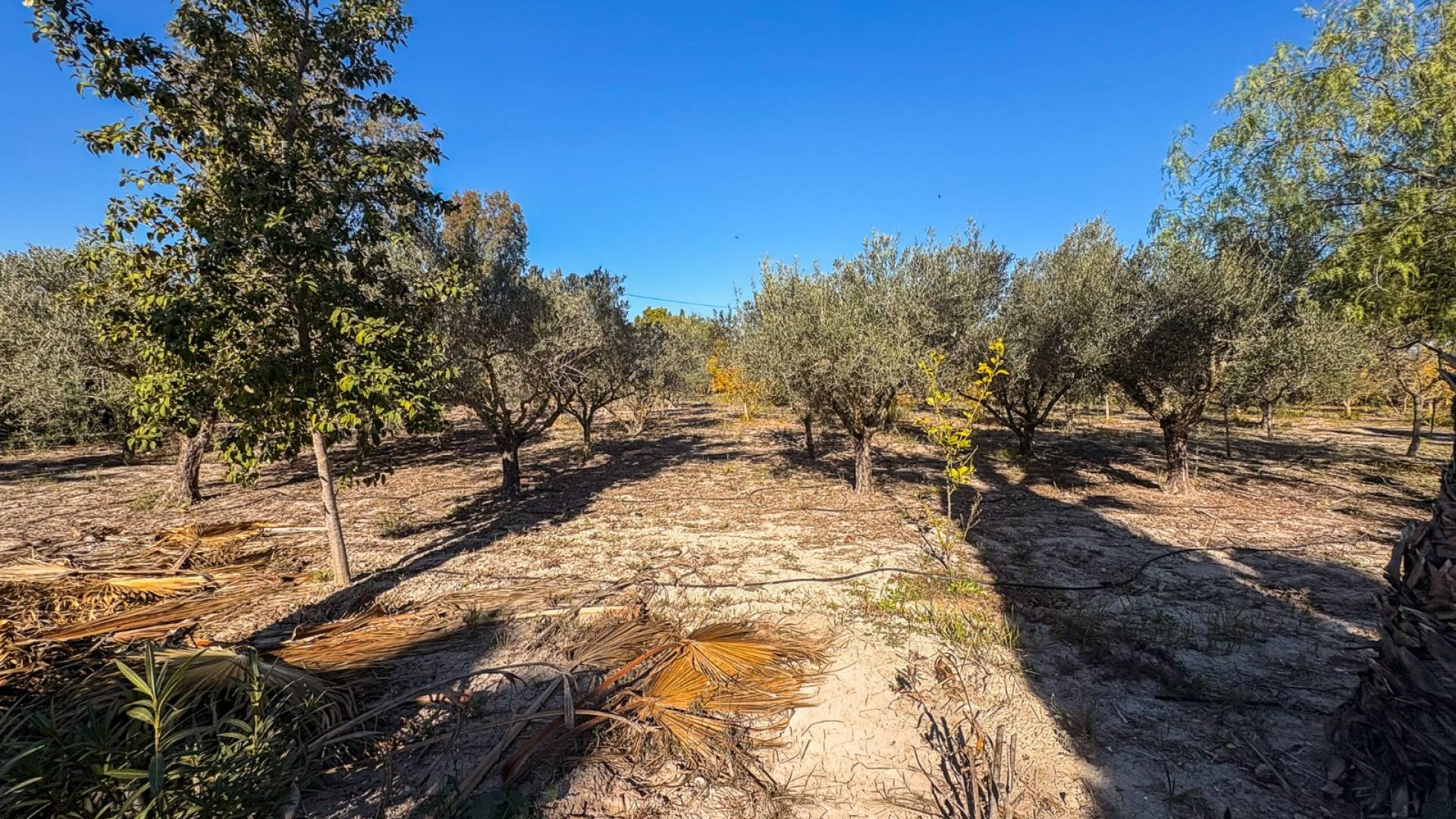 Gebraucht - Unabhängige Villa - Elche - Las Bayas
