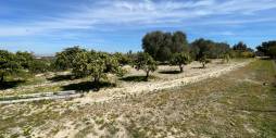 Gebraucht - Unabhängige Villa - Guardamar del Segura - Valencian Community