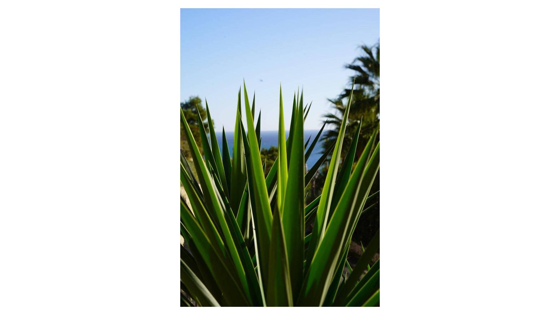 Gebraucht - Unabhängige Villa - Jávea - Balcón al mar - Cap Martí