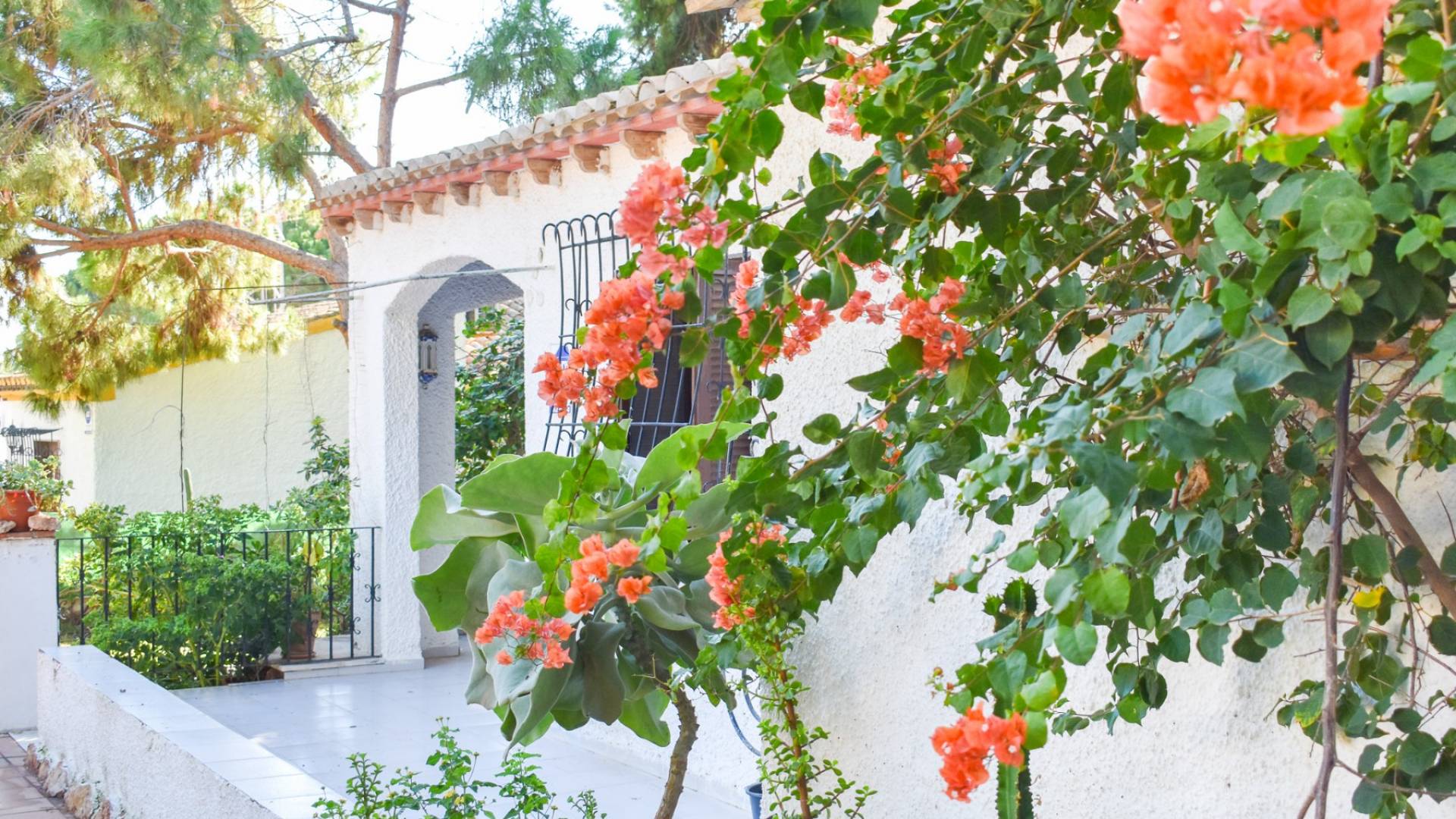 Gebraucht - Unabhängige Villa - Orihuela Costa - Punta Prima