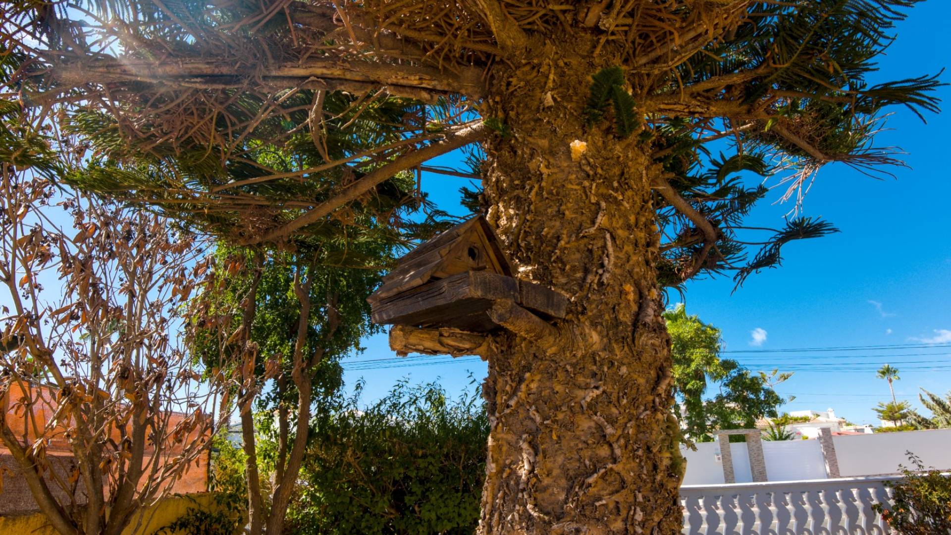 Gebraucht - Unabhängige Villa - Torrevieja - La Siesta