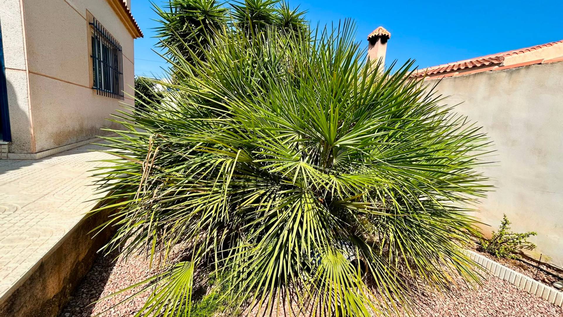 Gebraucht - Unabhängige Villa - Torrevieja - Urbanización San Luis