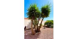 Gebraucht - Unabhängige Villa - Torrevieja - Urbanización San Luis