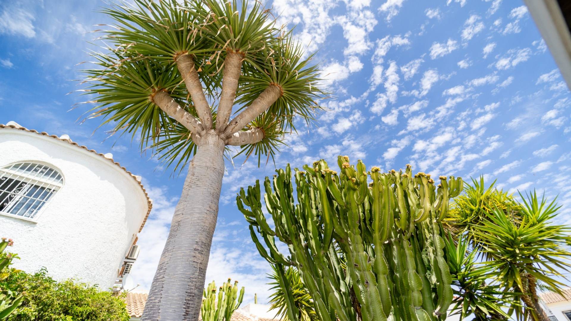 Gebraucht - Villa - freistehend - Torrevieja - La Siesta - El Salado - Torreta