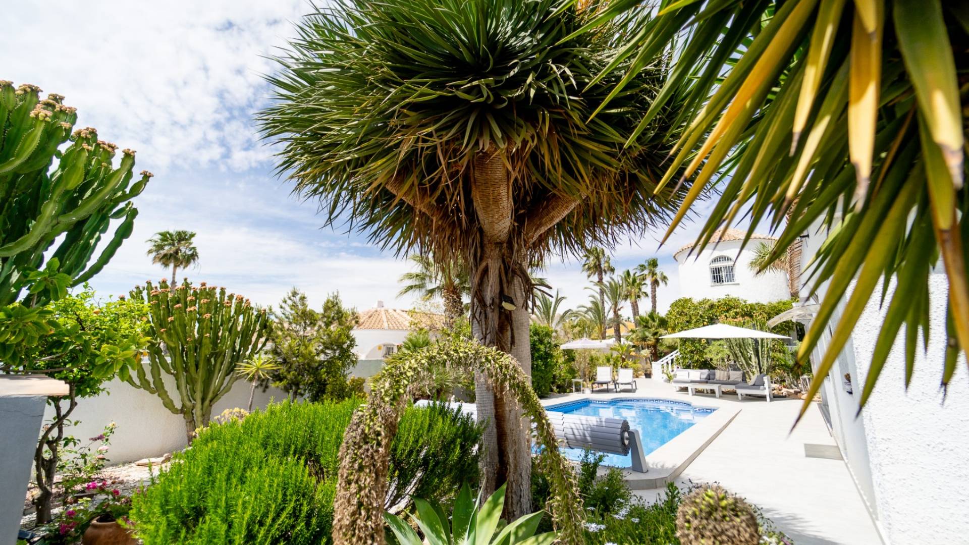 Gebraucht - Villa - freistehend - Torrevieja - La Siesta - El Salado - Torreta