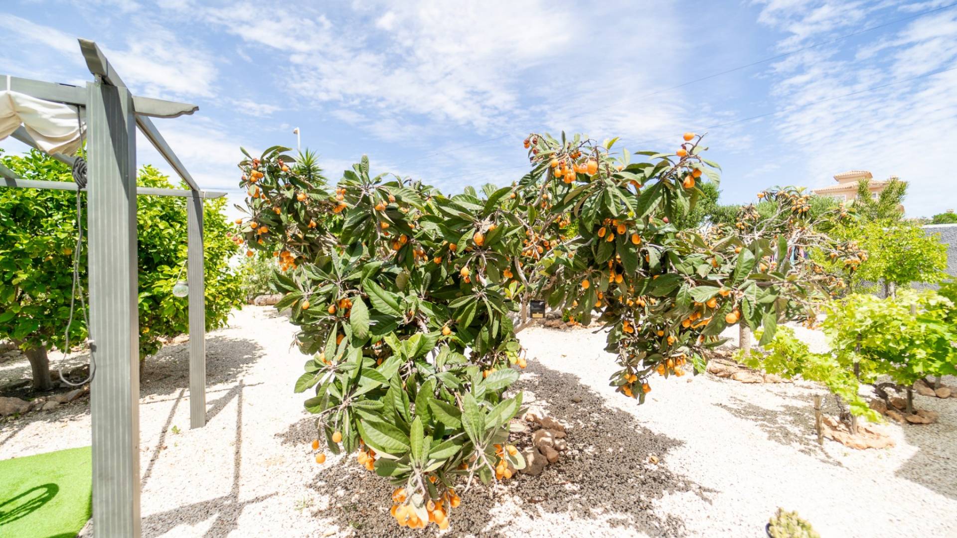Gebraucht - Villa - freistehend - Torrevieja - La Siesta - El Salado - Torreta