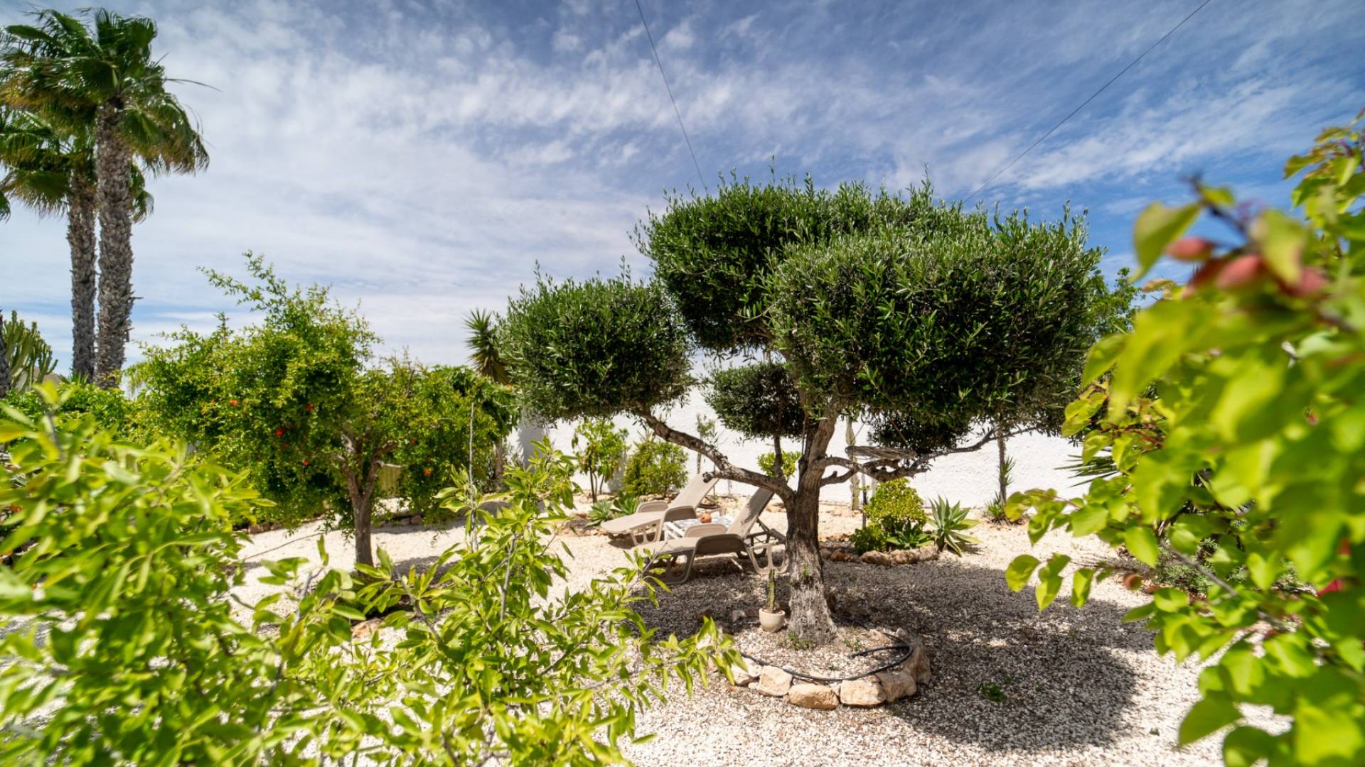 Gebraucht - Villa - freistehend - Torrevieja - La Siesta - El Salado - Torreta