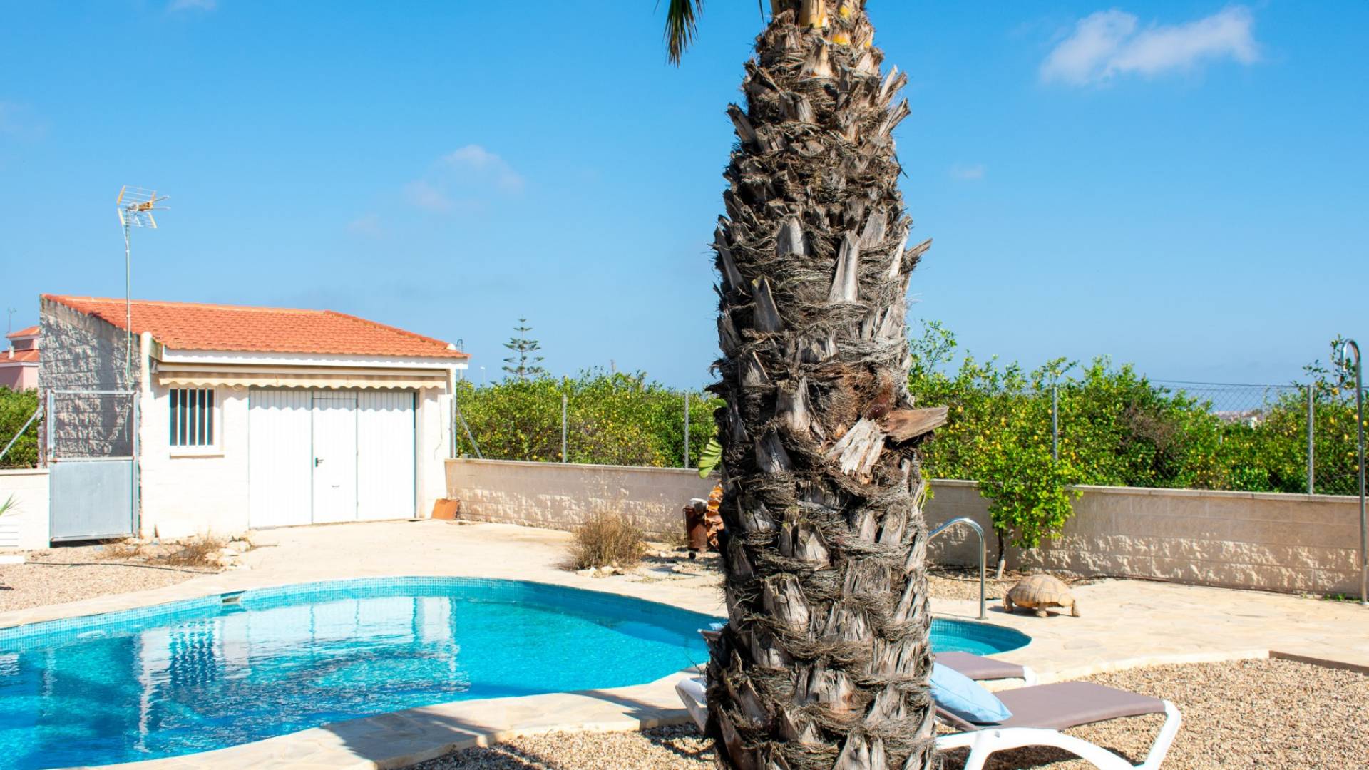 Gebraucht - Villa - Guardamar del Segura - 