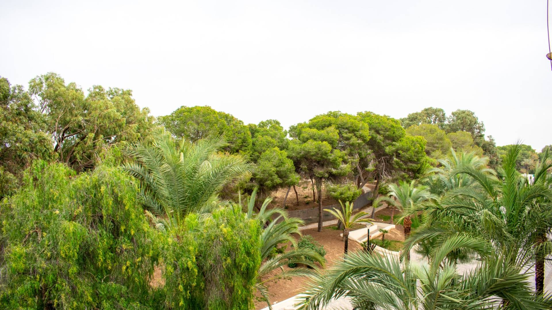 Gebraucht - Wohnung - Guardamar del Segura - Centro