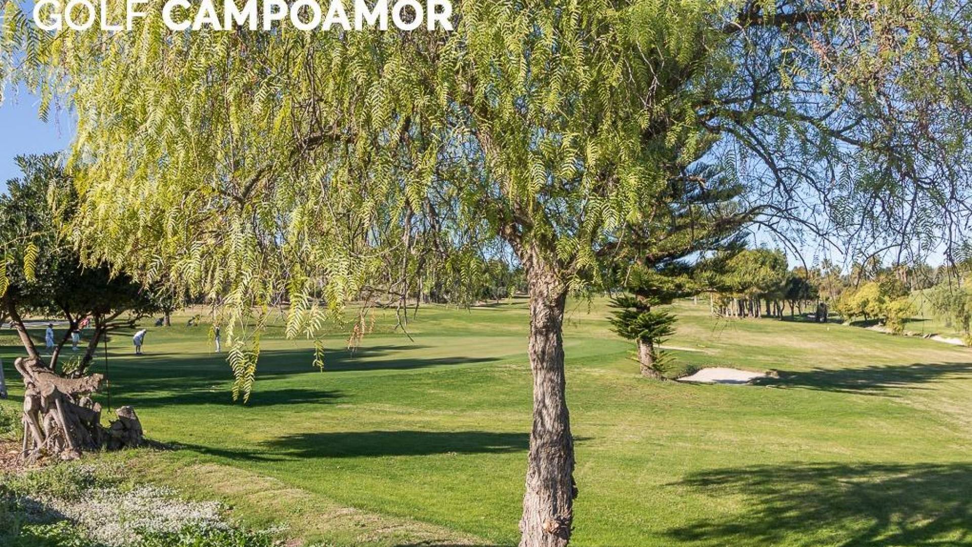 Gebraucht - Wohnung - Orihuela Costa - Campoamor