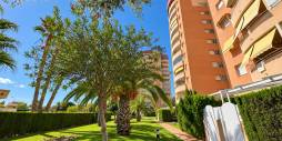 Gebraucht - Wohnung - Orihuela Costa - Campoamor