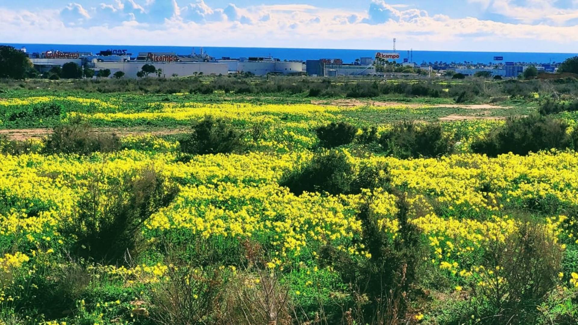 Gebraucht - Wohnung - Orihuela Costa - Villamartin