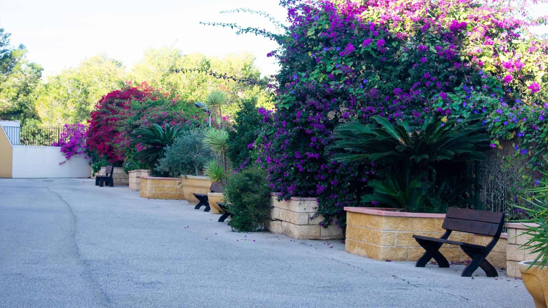 Gebraucht - Wohnung - Orihuela - Orihuela Costa