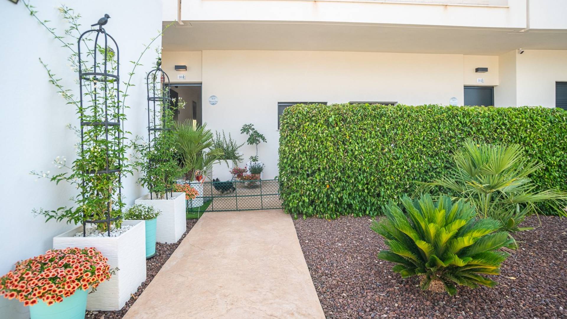 Gebraucht - Wohnung - Pilar de la Horadada - Lo Romero Golf