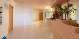 Gebraucht - Wohnung - Torrevieja - Acequion