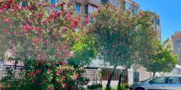 Gebraucht - Wohnung - Torrevieja - La Mata
