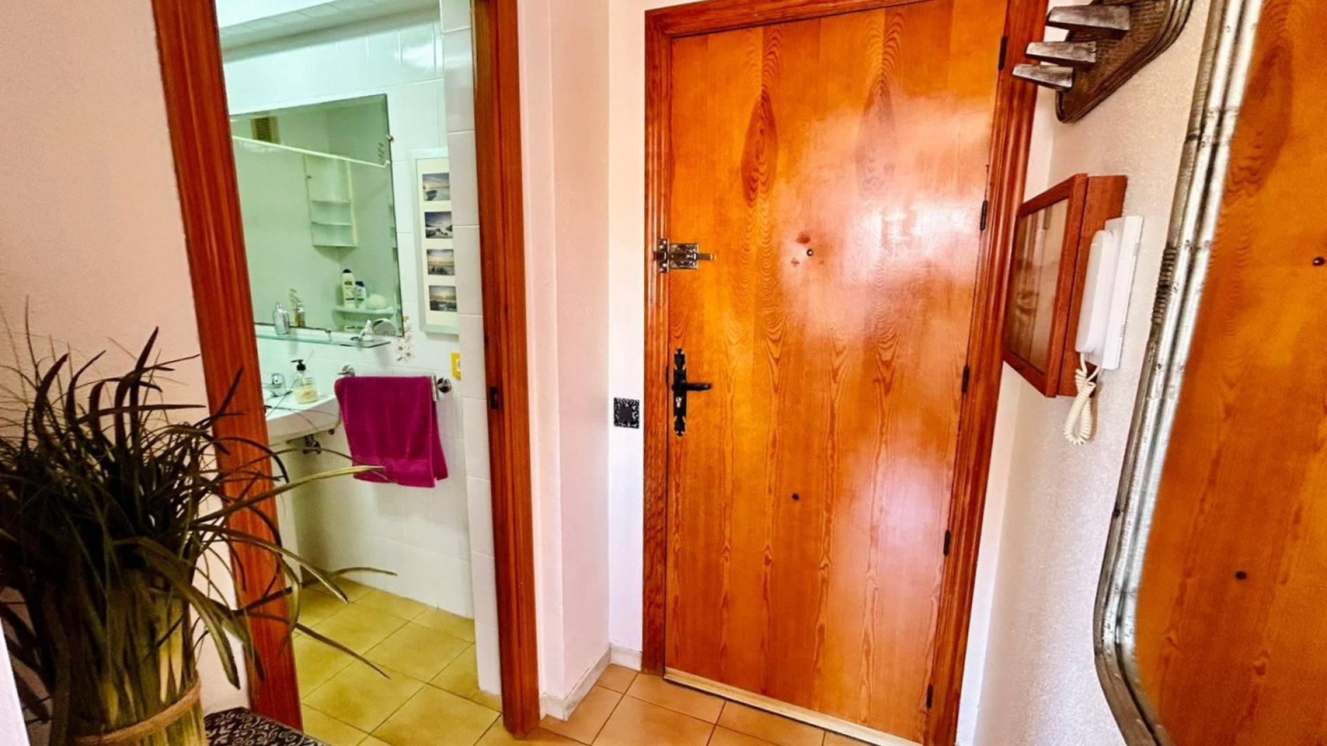 Gebraucht - Wohnung - Torrevieja - La veleta