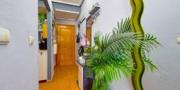 Gebraucht - Wohnung - Torrevieja - parque avenidas