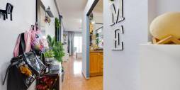 Gebraucht - Wohnung - Torrevieja - parque avenidas