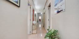 Gebraucht - Wohnung - Torrevieja - Patricio Perez 79
