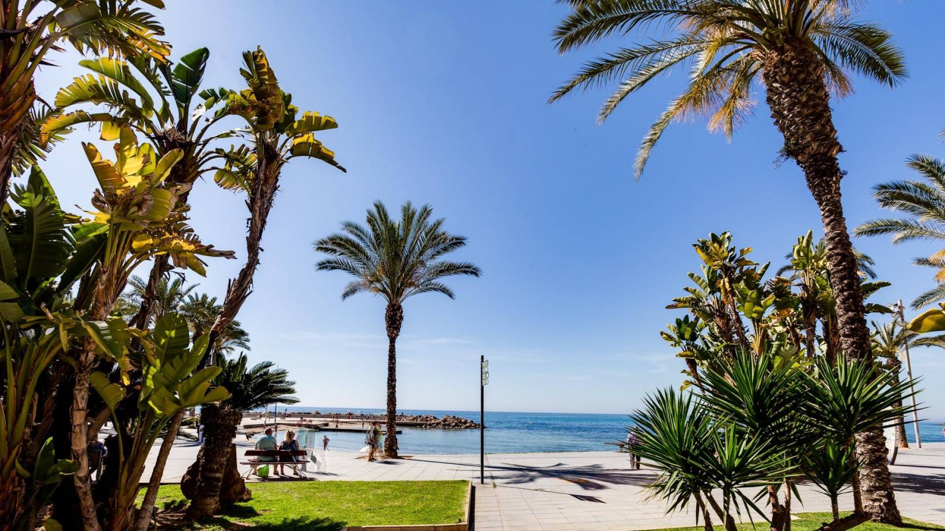 Gebraucht - Wohnung - Torrevieja - Playa del Cura