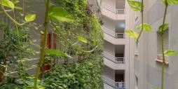 Gebraucht - Wohnung - Torrevieja - Playa del Cura