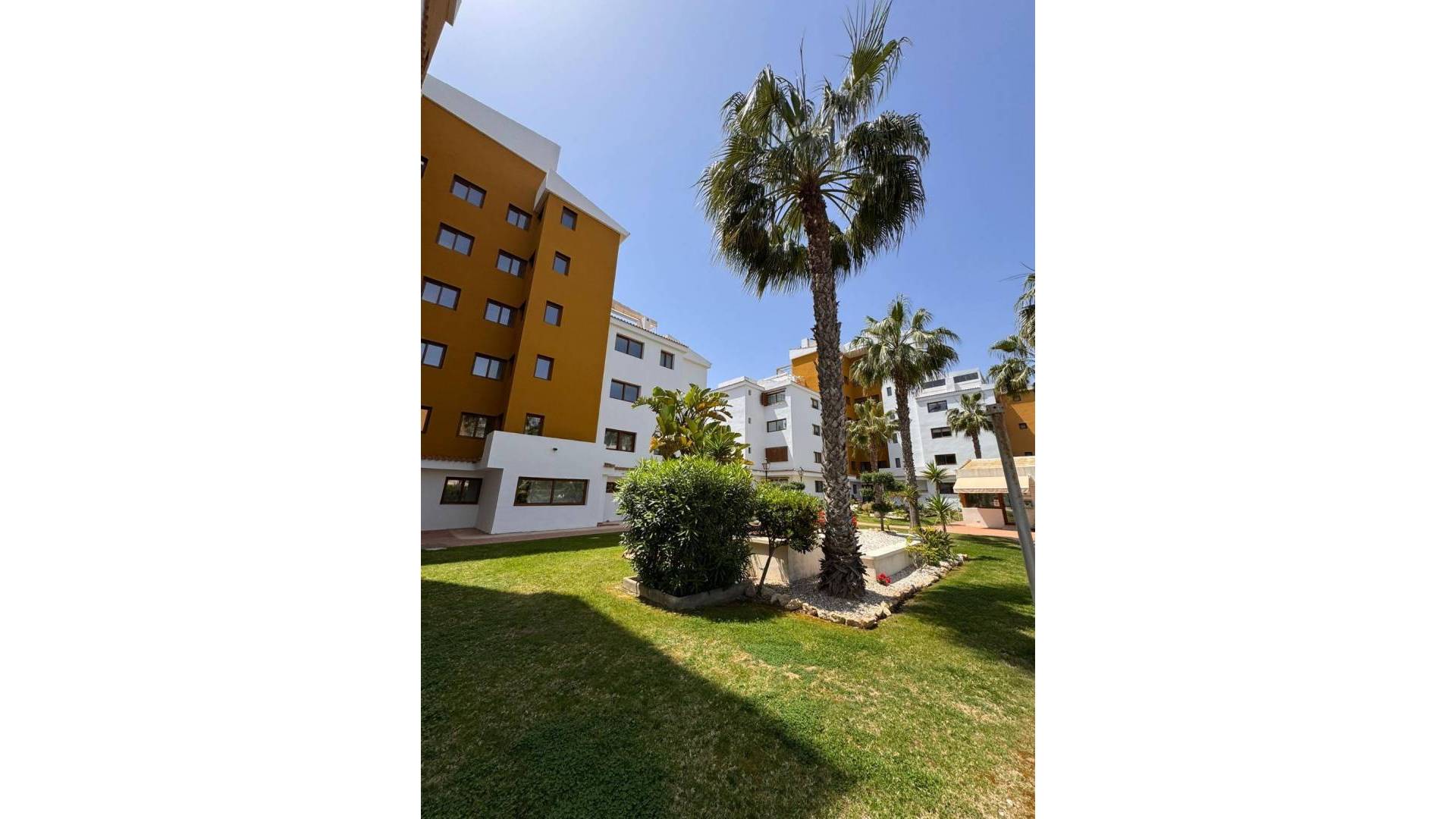 Gebraucht - Wohnung - Torrevieja - Punta Prima