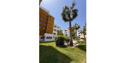 Gebraucht - Wohnung - Torrevieja - Punta Prima