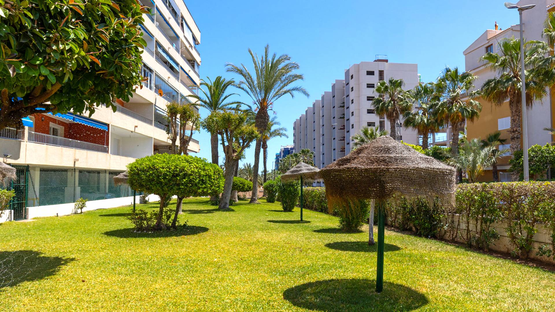Gebraucht - Wohnung - Torrevieja - Rocio del Mar