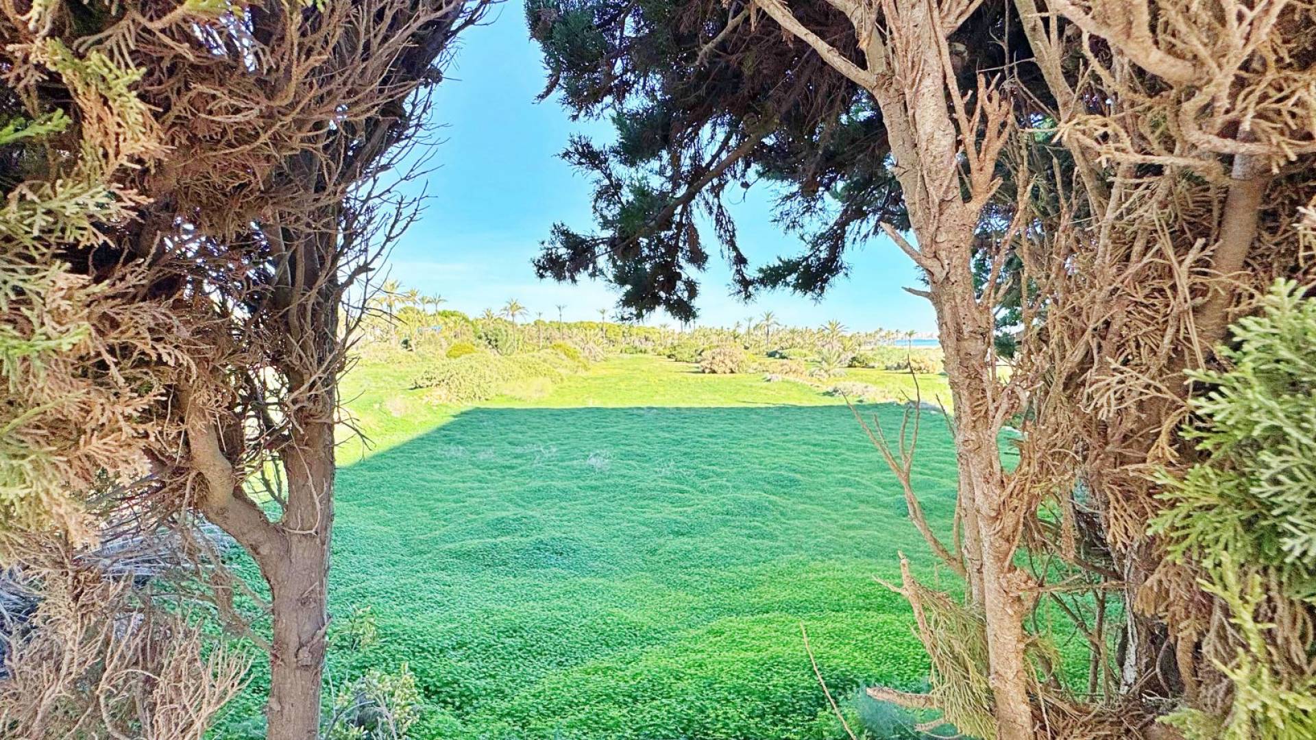 Gebraucht - Wohnung - Torrevieja - Rocio del Mar