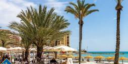 Gebraucht - Wohnung - Torrevieja - Torreblanca